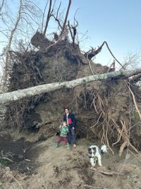 Intensa Experiencia en Chile: Puelche y Caos en Pucón